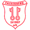 SV 1907 Falkenberg