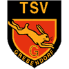 TSV 07 Grebendorf