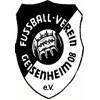 FV Geisenheim 08 II