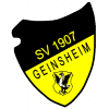 SV 07 Geinsheim II