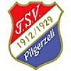TSV 1912/1929 Pilgerzell II