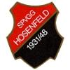 SPVGG 1931/48 Hosenfeld II