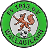 FV 1913 Wallau/Lahn II