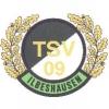 TSV 1909 Ilbeshausen II