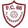 FC 66 Flammersbach