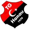 FC Türk Gücü Hanau 1979