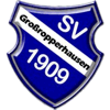 SV 1909 Großropperhausen II