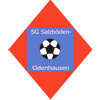 SG Salzböden/Odenhausen II