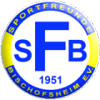 Sportfreunde 1951 Bischofsheim II
