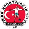 TSV Türkspor Babenhausen 1979