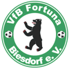 VfB Fortuna Biesdorf 1905 II