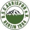BSC Agrispor Berlin 1984