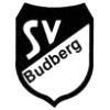 SV 1946 Budberg IV