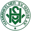 Hamminkelner SV 1920/46 III