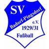 Spvg. Badorf/Pingsdorf 1929/31