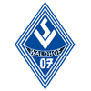 Wappen von SV Waldhof 07 Mannheim