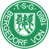 Wappen von TSG Bergedorf von 1860