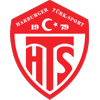 Wappen von Harburger Türksport 1979