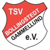 TSV Bollingstedt/Gammellund II