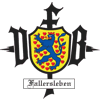 VfB 1861 Fallersleben III