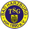 TSG Bad Harzburg von 1890 II