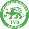 TVB Schöningen von 1901 III
