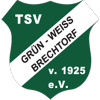 TSV Grün-Weiß Brechtorf von 1925 II