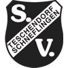 SV Teschendorf-Schneflingen von 1947