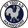 SV Hahndorf von 1920