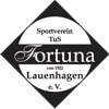 TuS Fortuna von 1922 Lauenhagen II