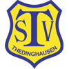 TSV Thedinghausen von 1901 II