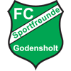 FC Sportfreunde Godensholt