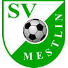 SV Grün Weiß Mestlin II