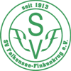 SV Falkensee-Finkenkrug seit 1913 IV