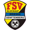 FSV Glückauf Brieske-Senftenberg