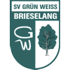 SV Grün-Weiß Brieselang