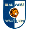 SV Blau-Weiß Walsleben 1968