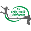 SG Grün-Weiß Schlepzig II