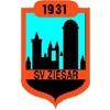 Wappen von SV Ziesar 31