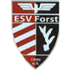 ESV Forst 1990 II