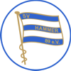 Wappen von SV Hammer 89