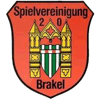 SpVg 20 Brakel II