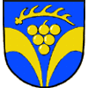 SV Blau-Gelb Börnecke