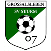 SV Sturm 07 Grossalsleben