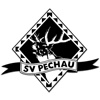 Wappen von SV Pechau