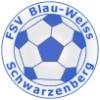 FSV Blau-Weiß Schwarzenberg 1921 II