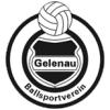 BSV Gelenau II