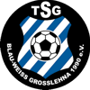 TSG Blau-Weiß Großlehna 1990