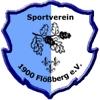 SV 1900 Flößberg