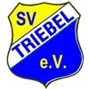 SV Triebel
